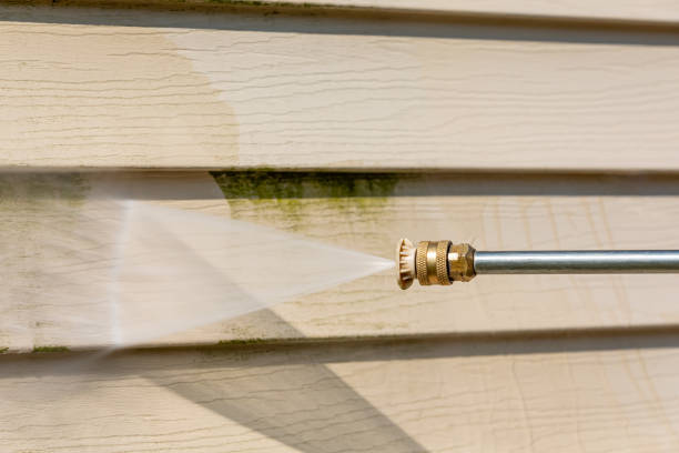 Best Deck Pressure Washing  in Topeka, IN